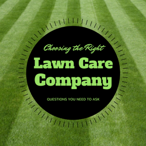 Lawn Care Company